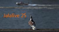 Jalalive 25: Menyambut Masa Depan Digital yang Cemerlang 