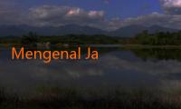 Mengenal JalaLive: Unduh APK untuk Menikmati Pengalaman Streaming Lebih Seru 